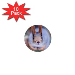 Squirrel Looks At You 1  Mini Buttons (10 pack) 