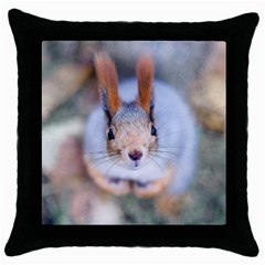 Squirrel Looks At You Throw Pillow Case (Black)