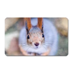 Squirrel Looks At You Magnet (rectangular) by FunnyCow