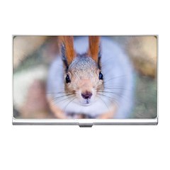 Squirrel Looks At You Business Card Holders by FunnyCow