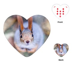 Squirrel Looks At You Playing Cards (Heart) 