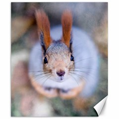 Squirrel Looks At You Canvas 20  X 24   by FunnyCow