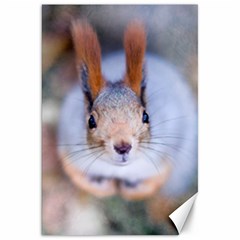 Squirrel Looks At You Canvas 20  X 30   by FunnyCow