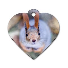 Squirrel Looks At You Dog Tag Heart (two Sides) by FunnyCow