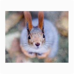 Squirrel Looks At You Small Glasses Cloth (2-Side)