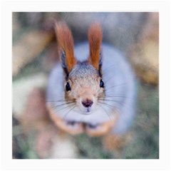 Squirrel Looks At You Medium Glasses Cloth by FunnyCow