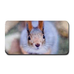 Squirrel Looks At You Medium Bar Mats by FunnyCow