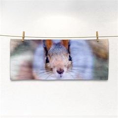 Squirrel Looks At You Hand Towel