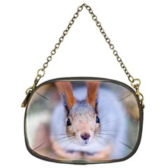 Squirrel Looks At You Chain Purses (one Side)  by FunnyCow