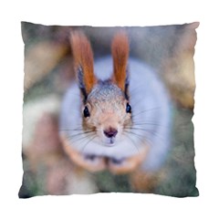 Squirrel Looks At You Standard Cushion Case (Two Sides)