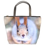 Squirrel Looks At You Bucket Bags Front