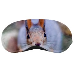 Squirrel Looks At You Sleeping Masks by FunnyCow