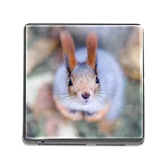 Squirrel Looks At You Memory Card Reader (square 5 Slot) by FunnyCow