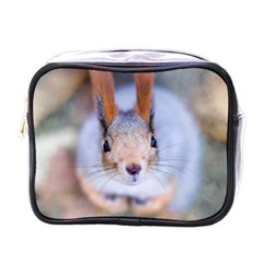 Squirrel Looks At You Mini Toiletries Bags by FunnyCow