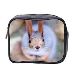 Squirrel Looks At You Mini Toiletries Bag 2-side by FunnyCow