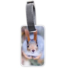 Squirrel Looks At You Luggage Tags (one Side)  by FunnyCow