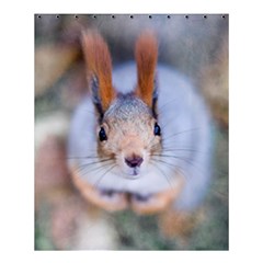 Squirrel Looks At You Shower Curtain 60  X 72  (medium)  by FunnyCow