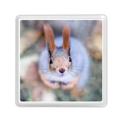 Squirrel Looks At You Memory Card Reader (Square)