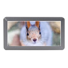 Squirrel Looks At You Memory Card Reader (Mini)