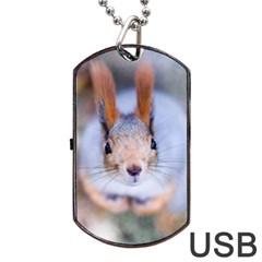 Squirrel Looks At You Dog Tag Usb Flash (two Sides) by FunnyCow