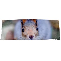 Squirrel Looks At You Body Pillow Case (dakimakura) by FunnyCow