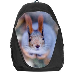 Squirrel Looks At You Backpack Bag by FunnyCow