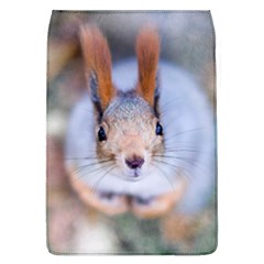 Squirrel Looks At You Flap Covers (l)  by FunnyCow