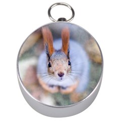 Squirrel Looks At You Silver Compasses by FunnyCow