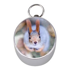 Squirrel Looks At You Mini Silver Compasses