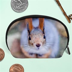 Squirrel Looks At You Accessory Pouches (large)  by FunnyCow