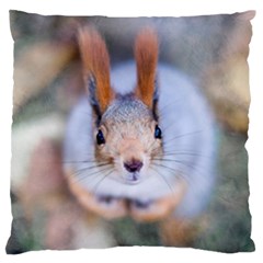 Squirrel Looks At You Large Flano Cushion Case (one Side) by FunnyCow