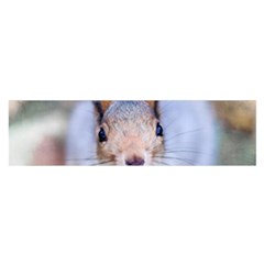 Squirrel Looks At You Satin Scarf (Oblong)