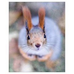 Squirrel Looks At You Drawstring Bag (small) by FunnyCow