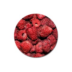 Red Raspberries Magnet 3  (round) by FunnyCow