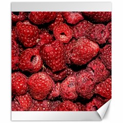 Red Raspberries Canvas 20  X 24   by FunnyCow