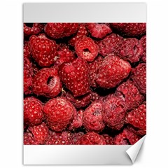 Red Raspberries Canvas 36  X 48   by FunnyCow