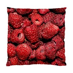 Red Raspberries Standard Cushion Case (two Sides) by FunnyCow