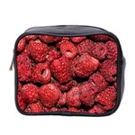 Red Raspberries Mini Toiletries Bag 2-Side Front