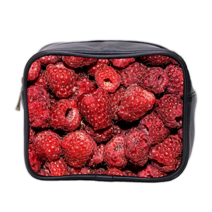 Red Raspberries Mini Toiletries Bag 2-Side