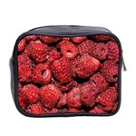 Red Raspberries Mini Toiletries Bag 2-Side Back