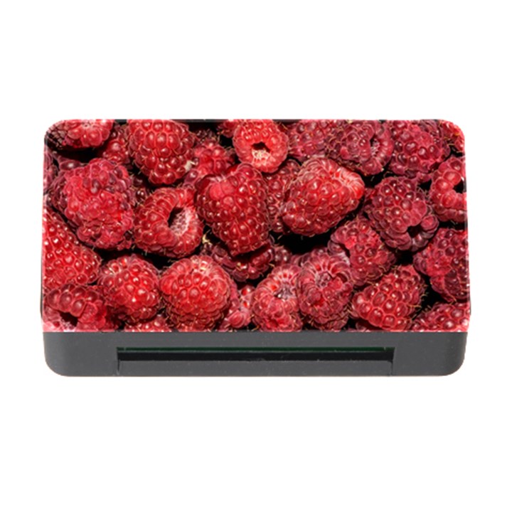 Red Raspberries Memory Card Reader with CF