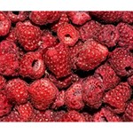 Red Raspberries Deluxe Canvas 14  x 11  14  x 11  x 1.5  Stretched Canvas