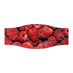 Red Raspberries Stretchable Headband by FunnyCow