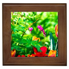 Bleeding Heart Flowers In Spring Framed Tiles by FunnyCow