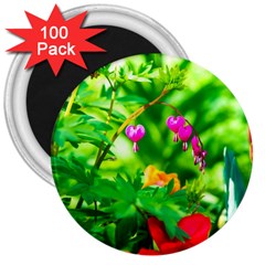 Bleeding Heart Flowers In Spring 3  Magnets (100 Pack) by FunnyCow