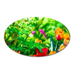 Bleeding Heart Flowers In Spring Oval Magnet by FunnyCow