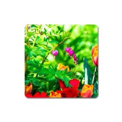 Bleeding Heart Flowers In Spring Square Magnet by FunnyCow