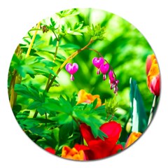 Bleeding Heart Flowers In Spring Magnet 5  (round) by FunnyCow