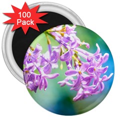 Beautiful Pink Lilac Flowers 3  Magnets (100 Pack) by FunnyCow