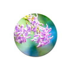 Beautiful Pink Lilac Flowers Magnet 3  (round) by FunnyCow